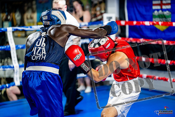 Cougar boxing June 7th 2025-0464