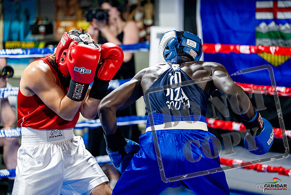 Cougar boxing June 7th 2025-0475