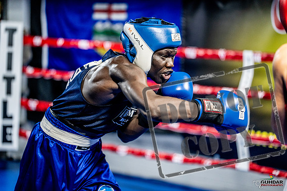 Cougar boxing June 7th 2025-0468