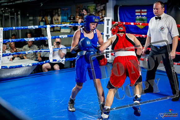 Cougar boxing June 7th 2025-0558