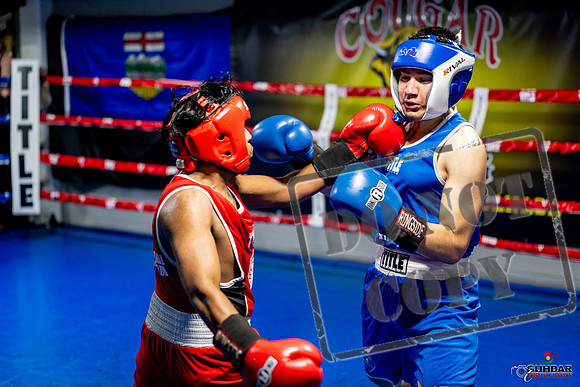Cougar boxing June 7th 2025-0328