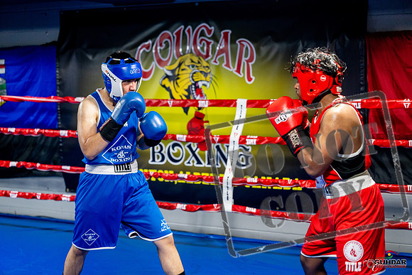 Cougar boxing June 7th 2025-0343