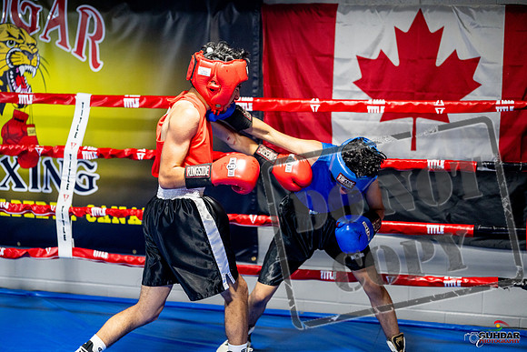 Cougar boxing June 7th 2025-0228
