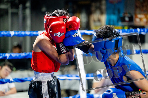 Cougar boxing June 7th 2025-0237