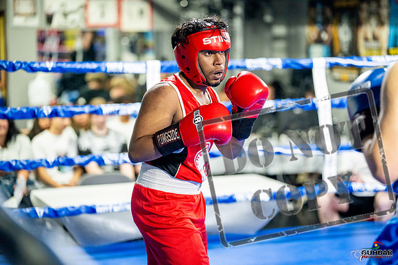 Cougar boxing June 7th 2025-0321