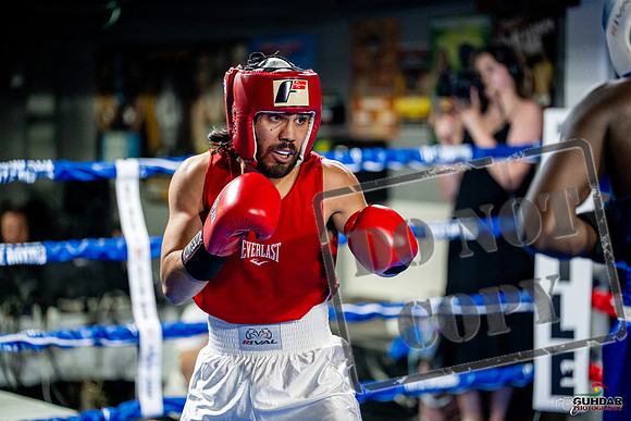 Cougar boxing June 7th 2025-0444