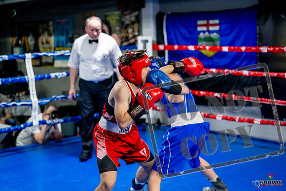 Cougar boxing June 7th 2025-0525