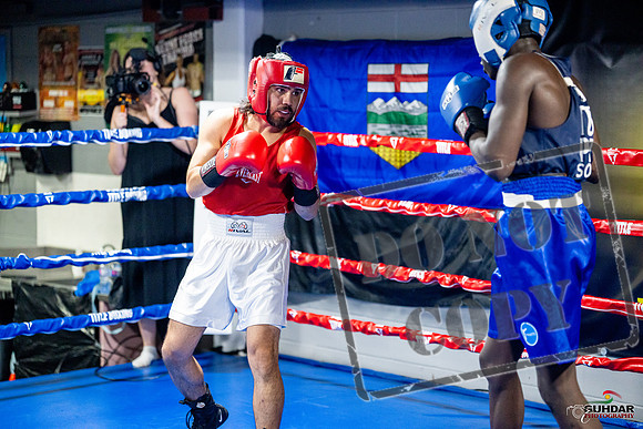 Cougar boxing June 7th 2025-0431