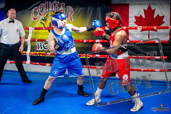 Cougar boxing June 7th 2025-0300