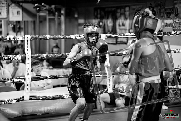 Cougar boxing June 7th 2025-0218