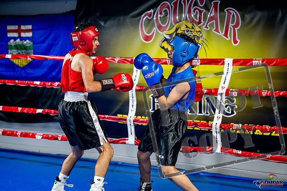 Cougar boxing June 7th 2025-0232