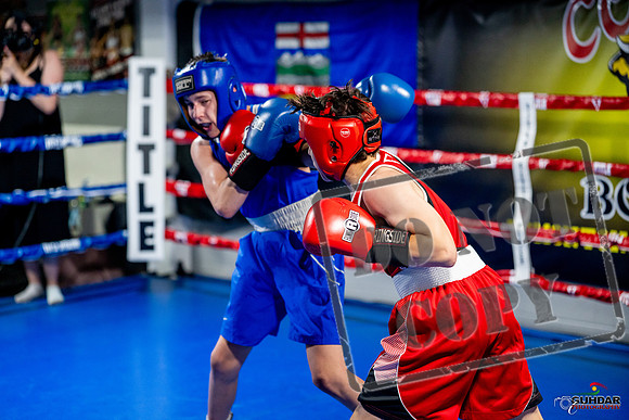 Cougar boxing June 7th 2025-0551