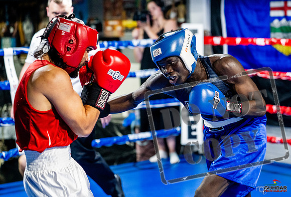 Cougar boxing June 7th 2025-0437