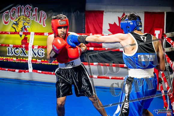 Cougar boxing June 7th 2025-0585