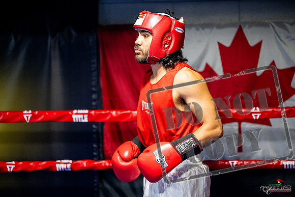 Cougar boxing June 7th 2025-0416