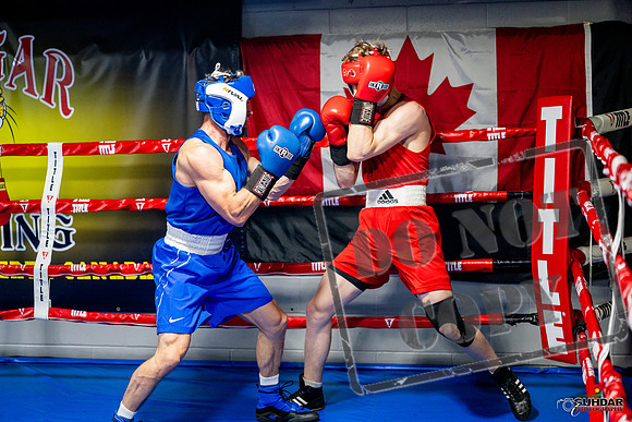 Cougar boxing June 7th 2025-0395