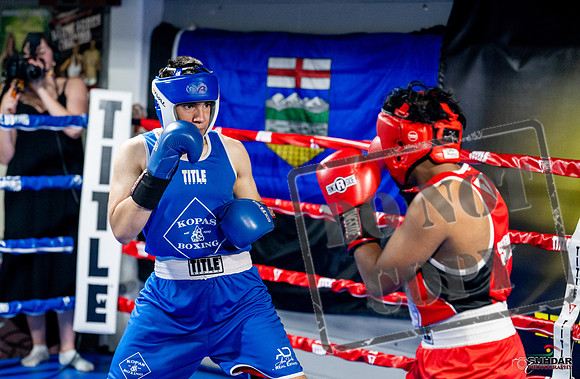 Cougar boxing June 7th 2025-0314