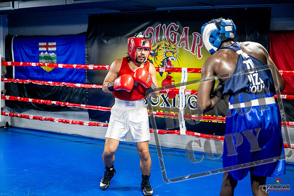 Cougar boxing June 7th 2025-0490