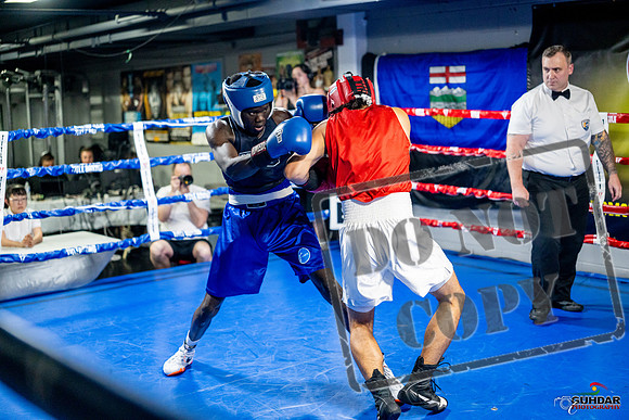 Cougar boxing June 7th 2025-0436