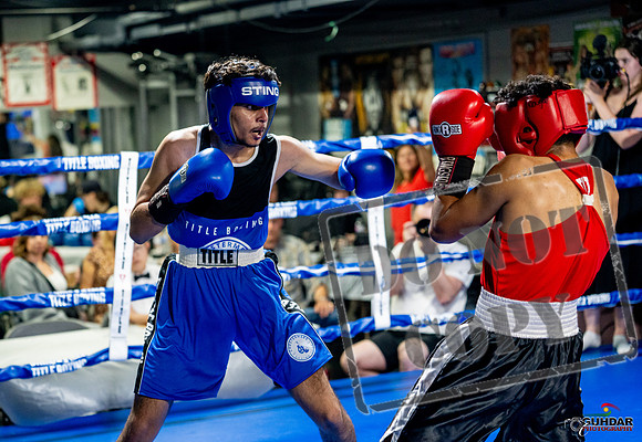Cougar boxing June 7th 2025-0606