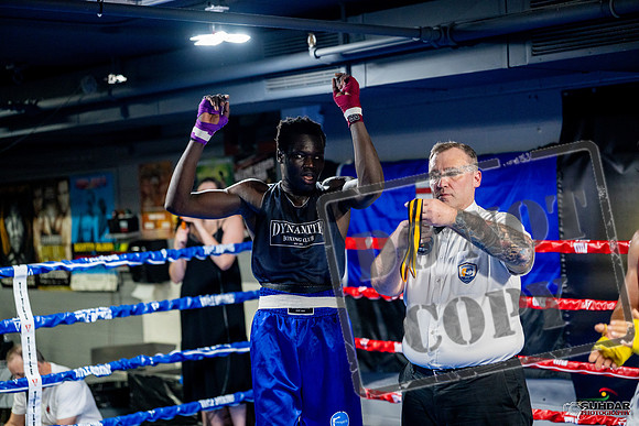 Cougar boxing June 7th 2025-0507
