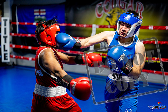 Cougar boxing June 7th 2025-0329