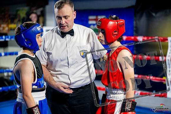 Cougar boxing June 7th 2025-0943