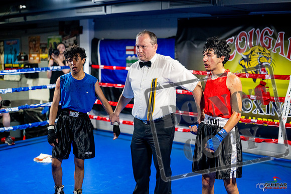 Cougar boxing June 7th 2025-0279