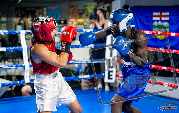 Cougar boxing June 7th 2025-0426