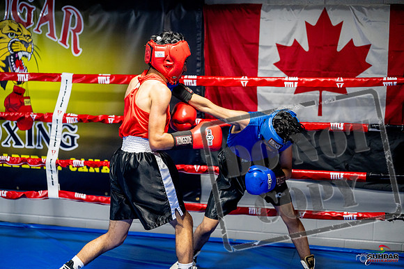 Cougar boxing June 7th 2025-0227