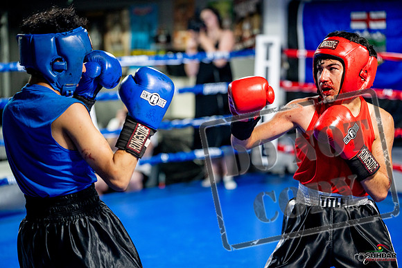 Cougar boxing June 7th 2025-0253