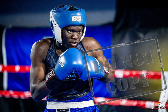 Cougar boxing June 7th 2025-0447