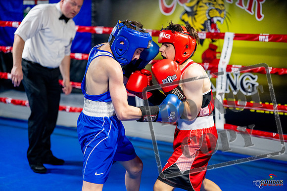 Cougar boxing June 7th 2025-0546