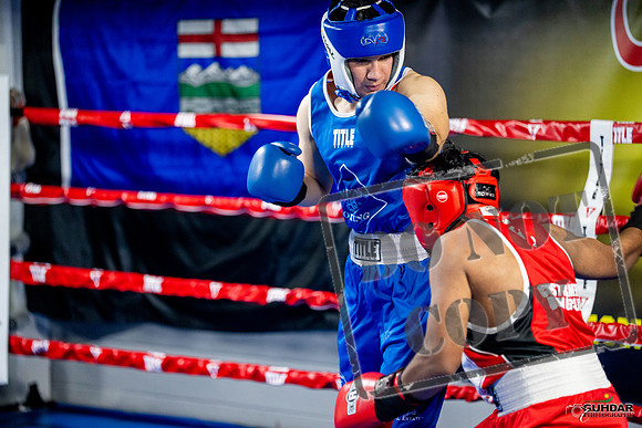 Cougar boxing June 7th 2025-0308