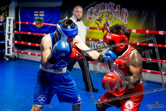 Cougar boxing June 7th 2025-0349