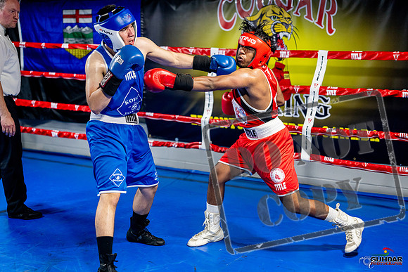 Cougar boxing June 7th 2025-0342