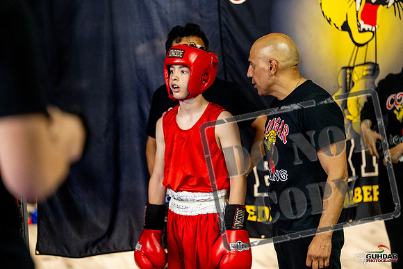 Cougar boxing June 7th 2025-0934