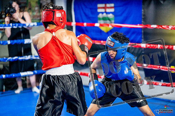 Cougar boxing June 7th 2025-0242