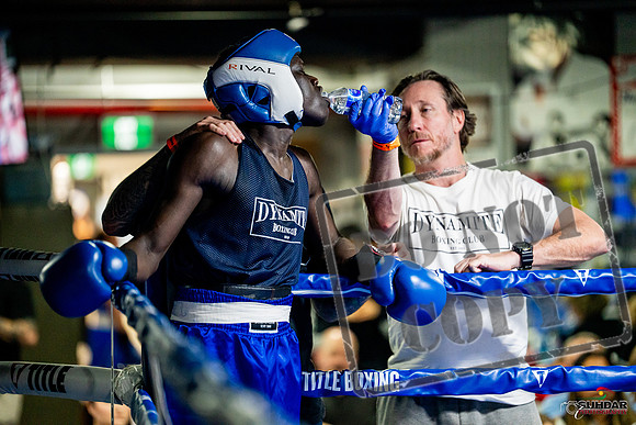 Cougar boxing June 7th 2025-0448