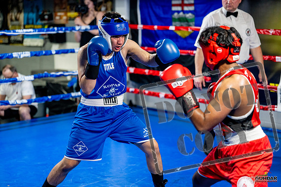 Cougar boxing June 7th 2025-0339