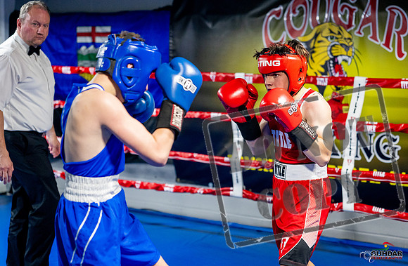 Cougar boxing June 7th 2025-0543