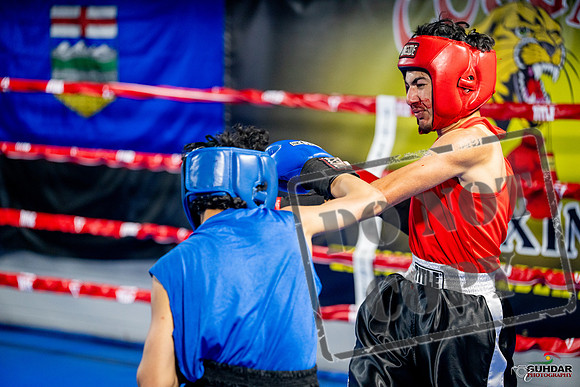 Cougar boxing June 7th 2025-0224