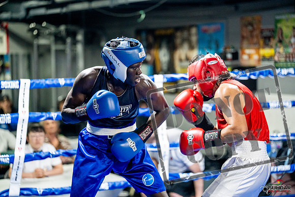 Cougar boxing June 7th 2025-0497