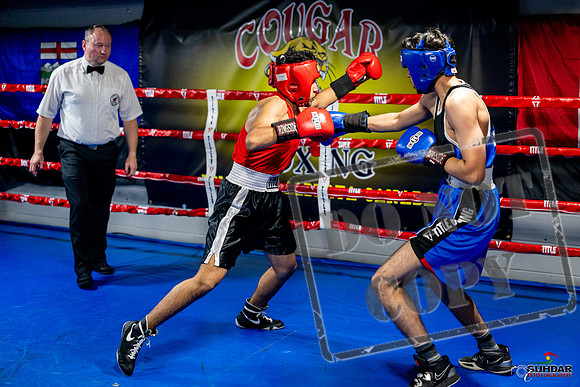 Cougar boxing June 7th 2025-0587
