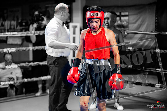 Cougar boxing June 7th 2025-0249