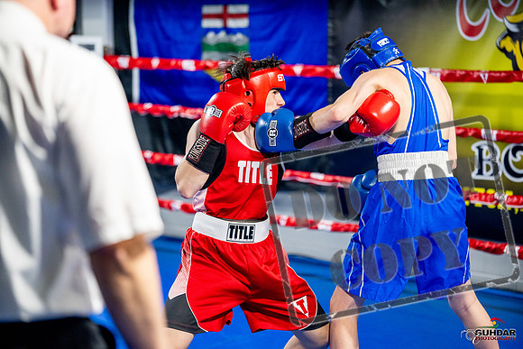 Cougar boxing June 7th 2025-0534