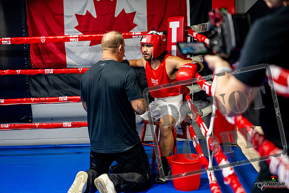 Cougar boxing June 7th 2025-0485