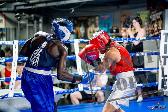 Cougar boxing June 7th 2025-0458