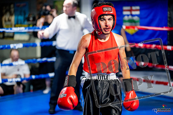 Cougar boxing June 7th 2025-0250