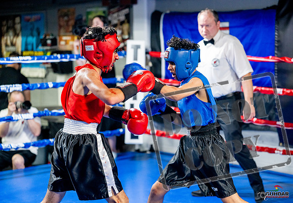 Cougar boxing June 7th 2025-0274
